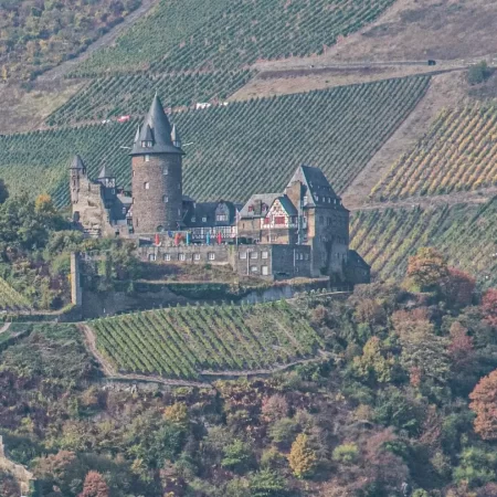 Stahleck Castle