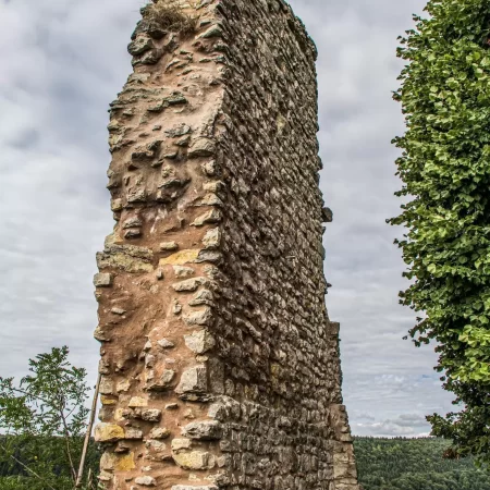 Hohennagold Castle Ruin