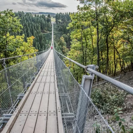 Hängeseilbrücke Geierlay Bei Mörsdorf