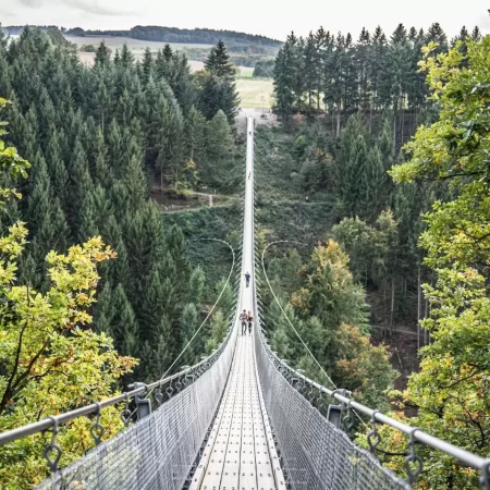 Hängeseilbrücke Geierlay Bei Mörsdorf