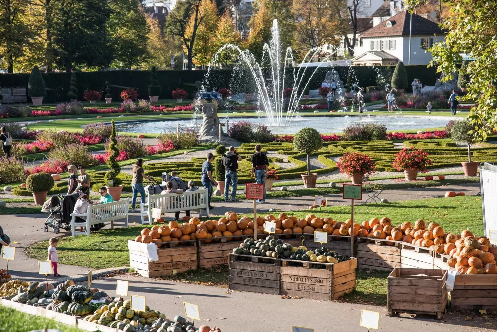 Herbst erleben auf der Ludwigsburger Kürbisausstellung