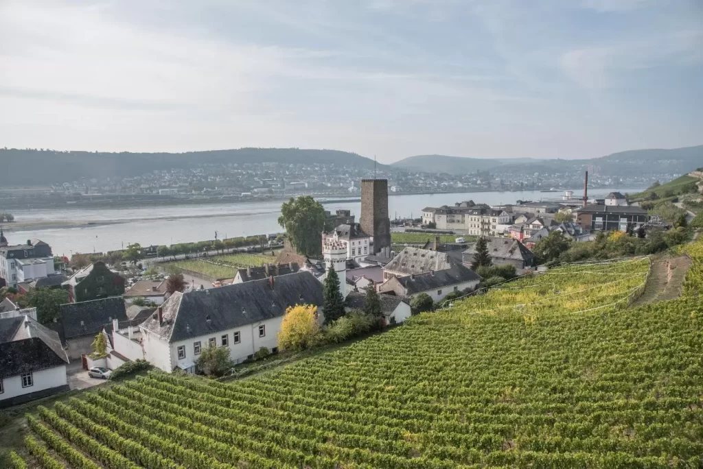 Rüdesheim Altstadt