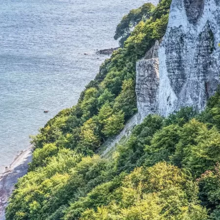 King’s Chair And Chalk Cliffs