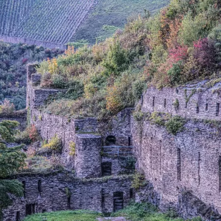 Rhine Rock Castle