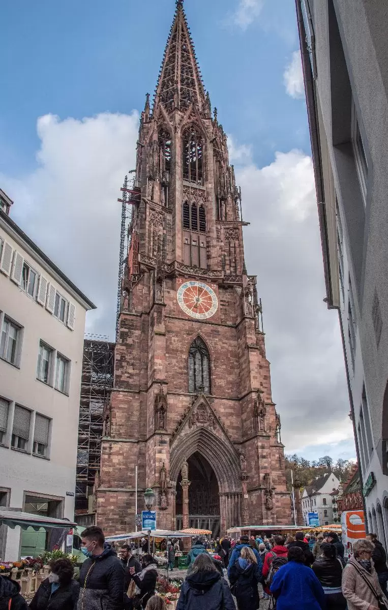 Freiburg Cathedral