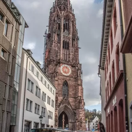 Freiburg Münster
